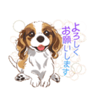 毎日いぬ全開（増補版）（個別スタンプ：35）