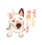 毎日いぬ全開（増補版）（個別スタンプ：36）