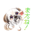 毎日いぬ全開（増補版）（個別スタンプ：38）