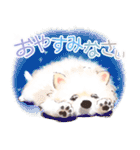毎日いぬ全開（増補版）（個別スタンプ：40）