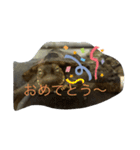 亀大好きよ（個別スタンプ：6）