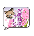 春満開！和風な猫ちゃんフキダシ（日本語）（個別スタンプ：19）