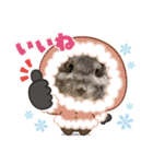チンチラちびまる♡（個別スタンプ：7）