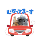 チンチラちびまる♡（個別スタンプ：10）