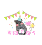 チンチラちびまる♡（個別スタンプ：18）