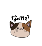 関西弁をはなすねこ（個別スタンプ：3）