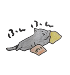 ごろごろ ごろねこ（個別スタンプ：1）