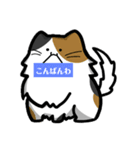 ねこです。もふってください！（個別スタンプ：3）