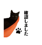 黒猫あずきのスタンプ（個別スタンプ：9）
