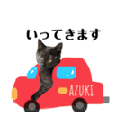 黒猫あずきのスタンプ（個別スタンプ：14）