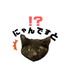黒猫あずきのスタンプ（個別スタンプ：20）