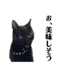 黒猫あずきのスタンプ（個別スタンプ：23）