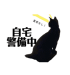 黒猫あずきのスタンプ（個別スタンプ：29）