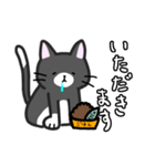 あいさつをする困り猫（個別スタンプ：6）