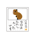 可愛い動物のイラストスタンプ（個別スタンプ：1）