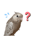 ぽぴちゃんです（個別スタンプ：7）