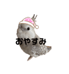 ぽぴちゃんです（個別スタンプ：13）