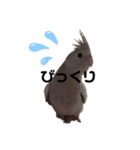 ぽぴちゃんです（個別スタンプ：16）