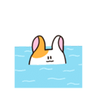 ハムハムフィッシュ（個別スタンプ：31）