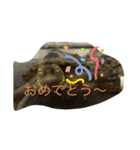 亀好き（個別スタンプ：8）