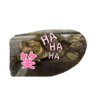 亀好き（個別スタンプ：20）