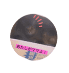ガッシーねこーず40にゃんシリーズ㊱（個別スタンプ：24）
