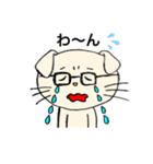 めがねにゃん（個別スタンプ：4）