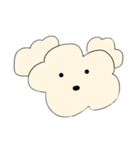 トイプードルのふーちゃん①（個別スタンプ：1）