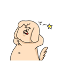 "怠け犬"たいだくん（個別スタンプ：3）