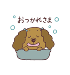 うちのわんこだよ①（個別スタンプ：2）