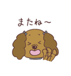 うちのわんこだよ①（個別スタンプ：19）