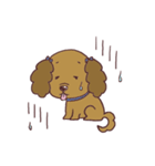 うちのわんこだよ①（個別スタンプ：23）