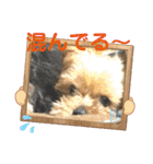 マレンとシェロ2（個別スタンプ：7）