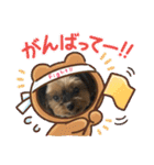 マレンとシェロ2（個別スタンプ：14）