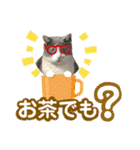 ガレージ猫グーの日常会話（個別スタンプ：17）