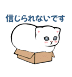 【丁寧に伝える】猫たちのスタンプ（個別スタンプ：15）