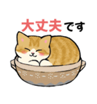 【丁寧に伝える】猫たちのスタンプ（個別スタンプ：17）