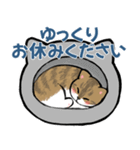 【丁寧に伝える】猫たちのスタンプ（個別スタンプ：34）