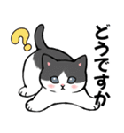 【丁寧に伝える】猫たちのスタンプ（個別スタンプ：36）