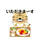 とらじろう＆とらのすけ日常スタンプ（個別スタンプ：12）
