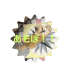おまめのにちじょう03（個別スタンプ：5）