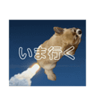 おまめのにちじょう03（個別スタンプ：6）