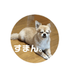 おまめのにちじょう03（個別スタンプ：7）