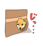 柴犬きなこのスタンプ part2（個別スタンプ：4）