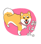 柴犬きなこのスタンプ part2（個別スタンプ：9）