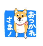 柴犬きなこのスタンプ part2（個別スタンプ：15）