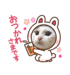 べる君の日常スタンプ（個別スタンプ：5）