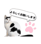 べる君の日常スタンプ（個別スタンプ：6）