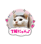 べる君の日常スタンプ（個別スタンプ：8）