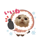 べる君の日常スタンプ（個別スタンプ：9）